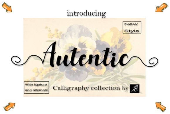 Autentic Font Review: Elevating Campaign Visuals