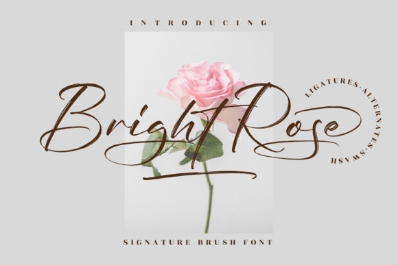 Bright Rose Typeface: Elevating Brand Identity with Elegant Script